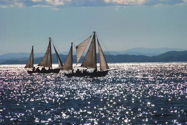 Vitorlások, vitorlázás regatta, Vladivostok, Oroszország. Japán, Csendes-óceán — Stock Fotó