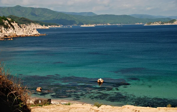 Mar tropical, Océano Pacífico, Primorye, Rusia —  Fotos de Stock