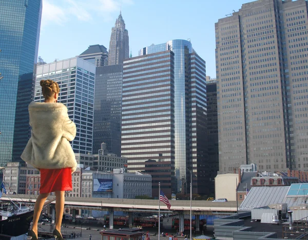 Mooie jonge vrouw tegen uitzicht op de stad, New York — Stockfoto
