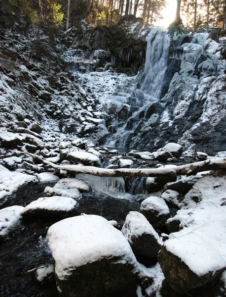 Waterfall, wild taiga — Stock Photo, Image