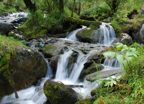 Wasserfall, Gebirgsfluss — Stockfoto