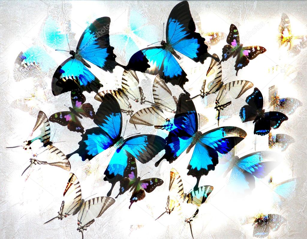 Abstract blue butterfly