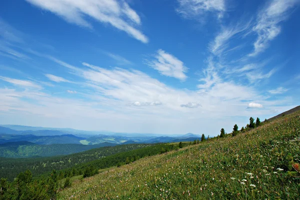 Літній фон, відкритий фону, Алтайський край, Росія, cloudscape — стокове фото