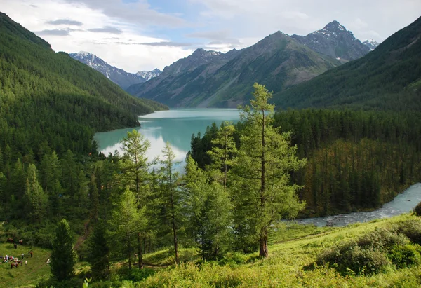 Mountain lake Kucherlinskoe, near mountain Belukha 4506 m, Altai Royalty Free Stock Images