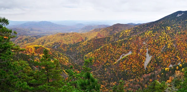 Dağ manzarası, Sonbahar, panorama — Stok fotoğraf