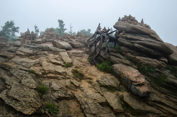 Seoraksan National Park, South Korea — Stock Photo, Image