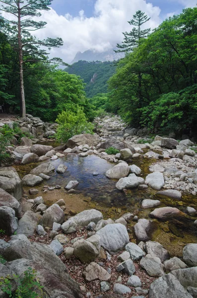 Parque Nacional Seoraksan, Corea del Sur —  Fotos de Stock