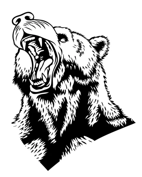 Chef för björnen — Stock vektor