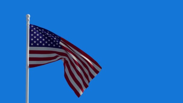 Bandeira Americana Acenando Vento Renderização Vídeo — Vídeo de Stock