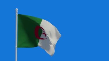 Cezayir Demokratik Cumhuriyeti bayrağı rüzgarda sallanıyor. 3D canlandırma, CGI animasyonu. 4K çözünürlüğündeki video.