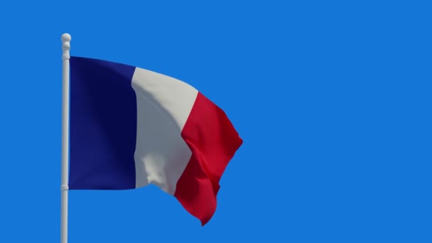 France National Flag Waving Wind Rendering Cgi Animation Video Resolution — Stock Video