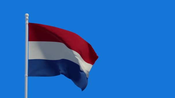風の中で手を振ってオランダ国旗 3Dレンダリング Cgiアニメーション 4K解像度のビデオ — ストック動画