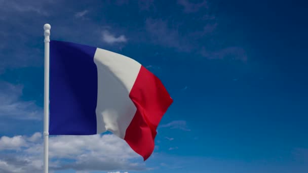 Bandera Nacional Francia Ondeando Viento Renderizado Animación Cgi Video Resolución — Vídeos de Stock