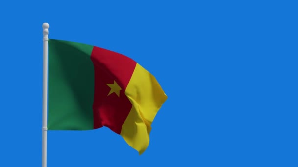 Bandiera Nazionale Della Repubblica Del Camerun Sventola Nel Vento Rendering — Video Stock