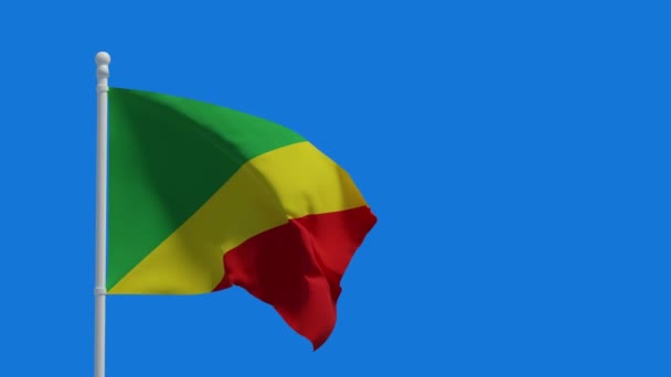 Bandera Nacional República Centroafricana Ondeando Viento Renderizado Animación Cgi Video — Vídeo de stock