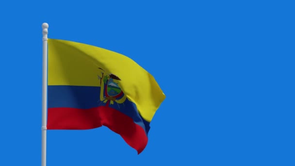 Republic Ecuador National Flag Waving Wind Rendering Cgi Animation Video — Stock Video