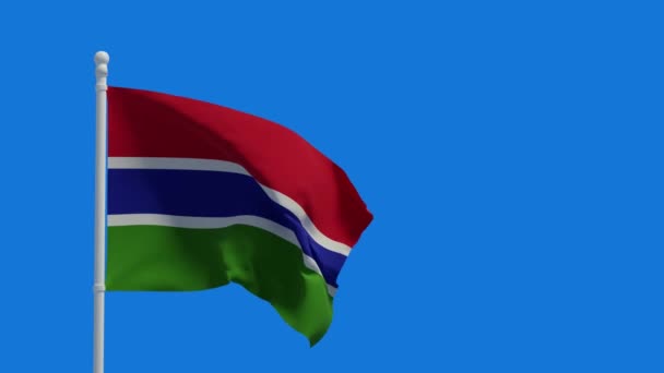 Bandera Nacional República Gambia Ondeando Viento Renderizado Animación Cgi Video — Vídeo de stock