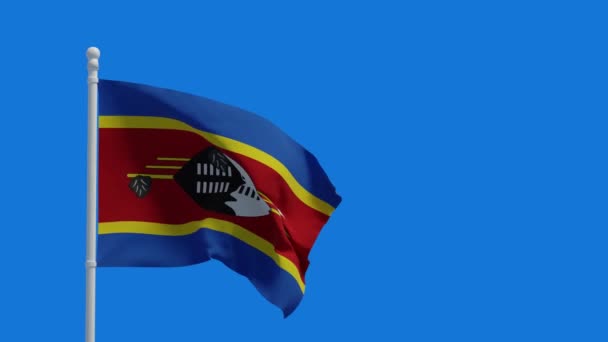 Kerajaan Eswatini Alias Bendera Nasional Swaziland Melambai Lambaikan Angin Rendering — Stok Video