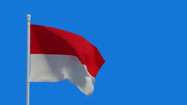 Bandera Nacional República Indonesia Ondeando Viento Renderizado Animación Cgi Video — Vídeo de stock