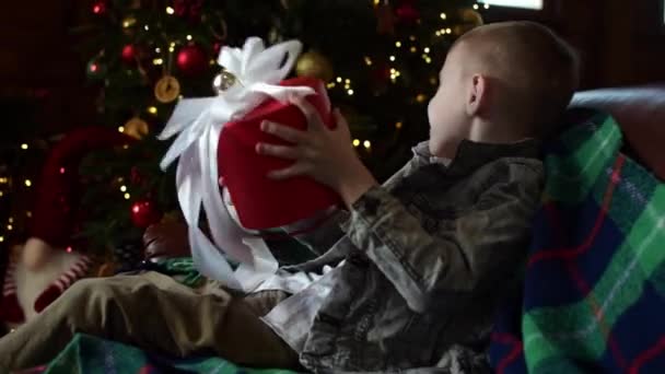 Boy Opens Box Gift New Year Tree — Stock Video