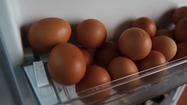 Buzdolabında Tavuk Yumurtası Var — Stok video