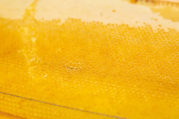 蜂蜜梳特写 黄色的半空蜂窝 — 图库照片