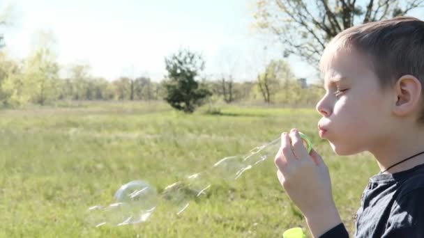 Мальчик Надувает Мыльные Пузыри Поляне Детские Развлечения Открытый Отдых — стоковое видео
