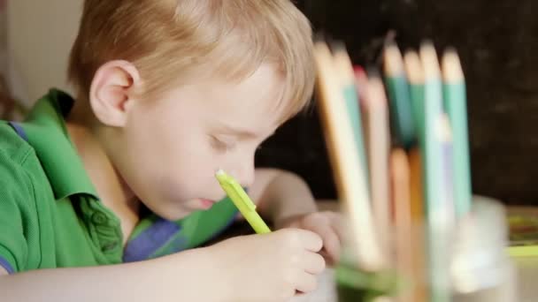 Mladý Školák Dělá Školní Hodiny Sešitu Pečlivě Zápisníku Zapíše Úkoly — Stock video