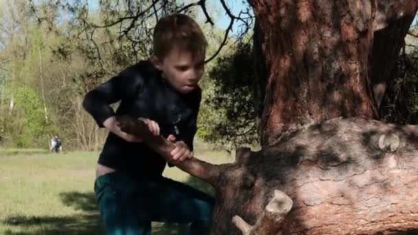 少年は夏に木に登る 森の中で 自然の中で積極的な休息 子供向け娯楽 — ストック動画