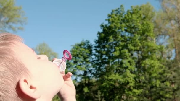清算中に若い男の子がシャボン玉を吹いている 子供の娯楽 屋外レクリエーション — ストック動画