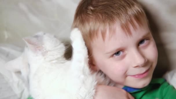 Jeune Garçon Jouant Avec Chat Blanc Maison Pet Relation Chat — Video