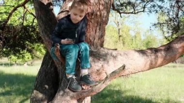 Güneşli bir günde bir ağaçta telefonla oturan genç bir çocuk. Çocuğun telefon alışkanlığı..