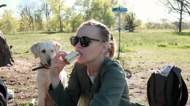 Une Femme Mange Sandwich Dans Parc Avec Chien Camping Pique — Video