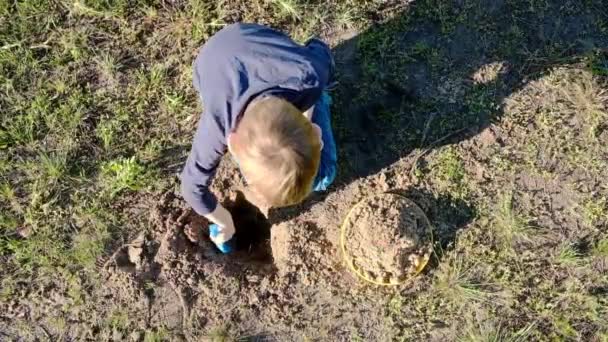 一个小男孩正在用玩具铲子在地上挖一个洞 从上面看 — 图库视频影像
