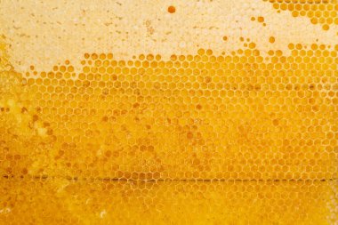 Bal tarağı yakın plan. Sarı yarı boş bal peteği.