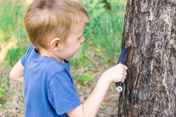 Young Boy Knife Forest Cuts Tree Dangerous Game Outdoor Recreation Stock Image