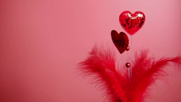 Día San Valentín Concepto Amor Dos Corazones Plumas Sobre Fondo — Vídeo de stock