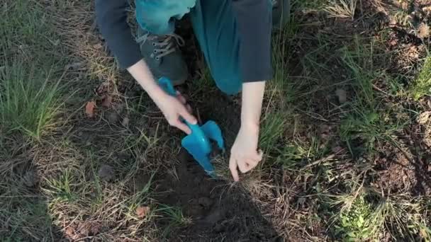 Ein Kind Gräbt Mit Einer Kinderschaufel Ein Loch Den Boden — Stockvideo