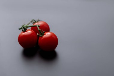 Siyah arka planda vişneli domates ve biberiye. Taze domates dalı. Vejetaryen yemeği..