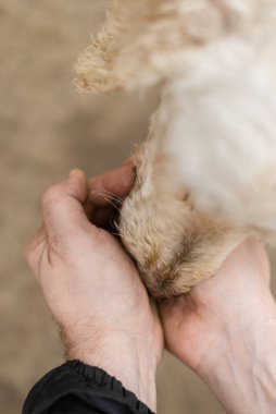 Köpek onun elinden su içer. Köpeğin susuzluğunu dıştan gidermek..