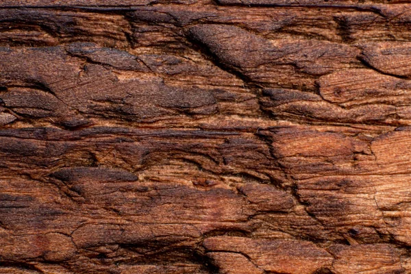 Texture Old Wood Close Can Used Background — Stock Photo, Image