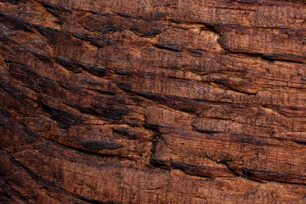 Textura Madera Vieja Cerca Puede Utilizar Como Fondo — Foto de Stock