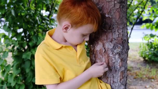 黄色のTシャツを着た若い赤髪の男の子が夏に木を切り刻む — ストック動画