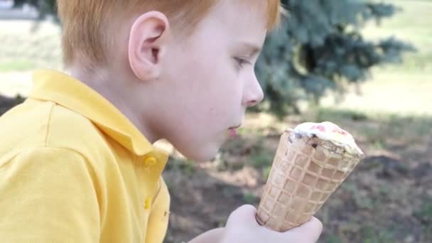 Young Boy Eating Ice Cream Waffle Cup Street Summer — Stock Video