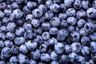 Taze yaban mersini yakından. Böğürtlen arka planı.