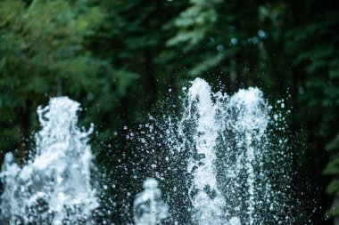 Parktaki yeşil ağaçların arka planında fıskiyenin su püskürtüleri.