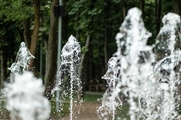 喷泉的水柱在公园绿树的背景上 — 图库照片