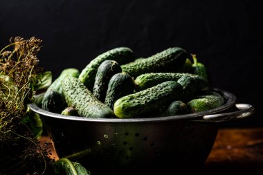 Koyu ahşap bir arka planda elek içindeki taze organik salatalıklar. Turşuya hazırlanılıyor.