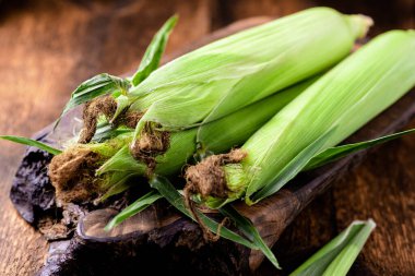Ahşap arka planda taze çiğ mısır koçanları. Sağlıklı gıda, vejetaryenlik konsepti.