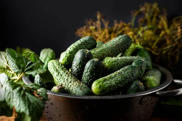 Verse Biologische Komkommers Een Zeef Een Donkere Houten Ondergrond Voorbereiding — Stockfoto